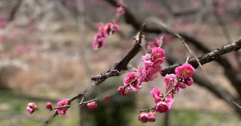 脳がダメージを受けない愚痴や悪口の言い方