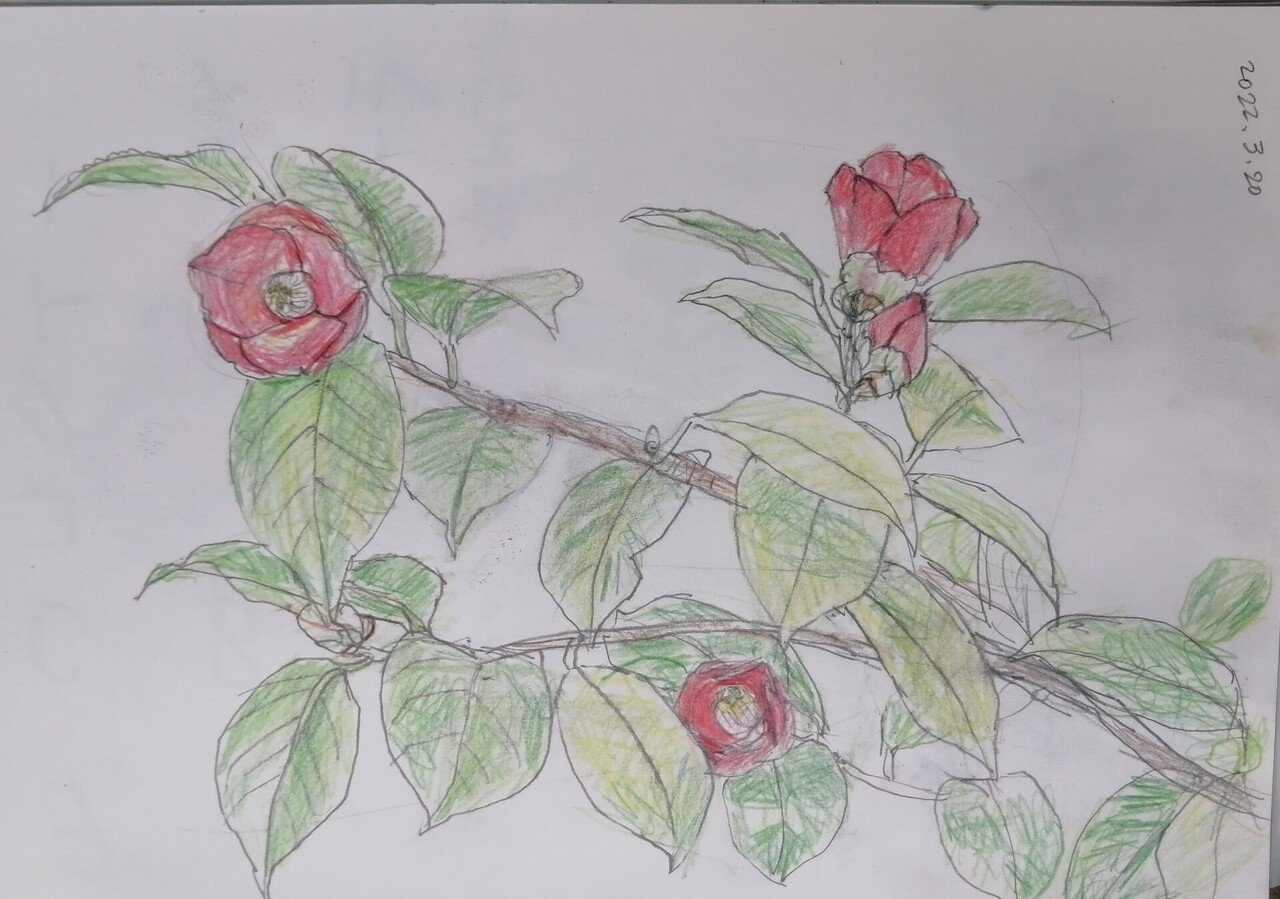 春の木の花 陽子絵画制作室 Note