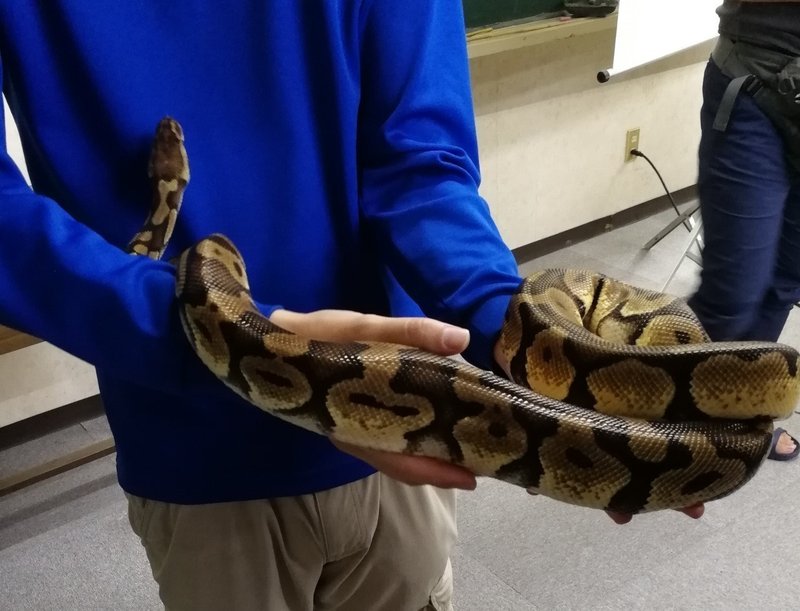 ジャパンスネークセンターへ行ってくる 白イタチ Note