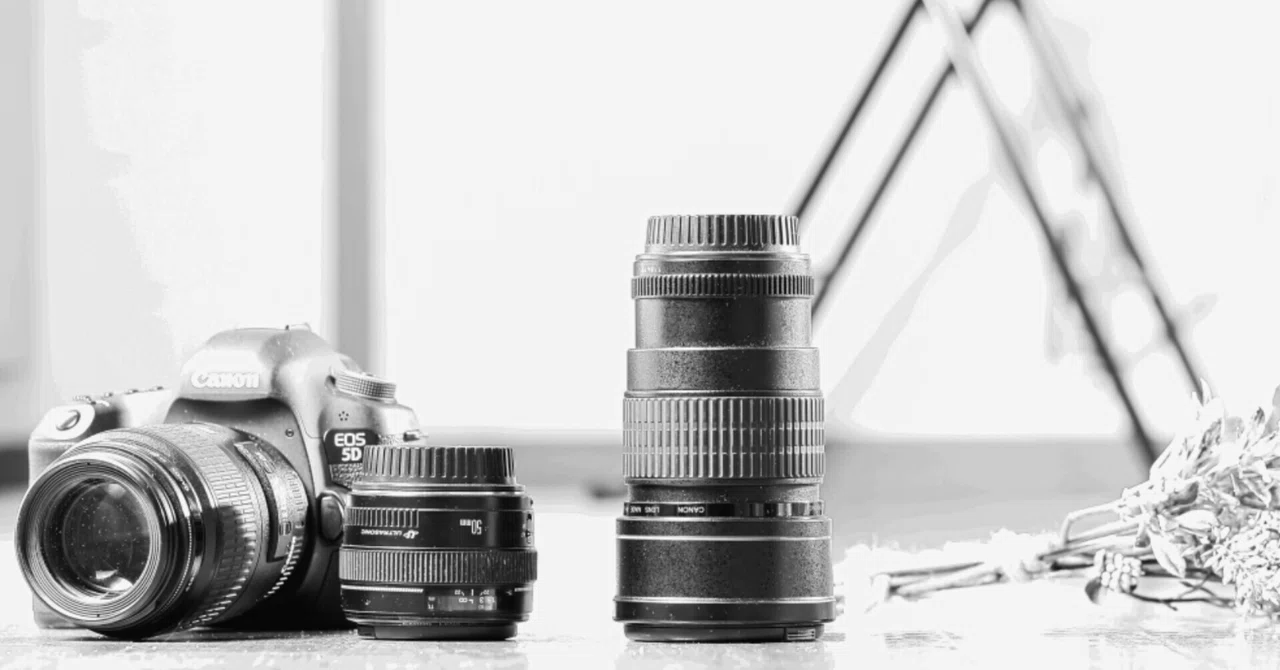 3. Lenses and the Earth are Round (A Note on Backlit Photography)｜水槽学