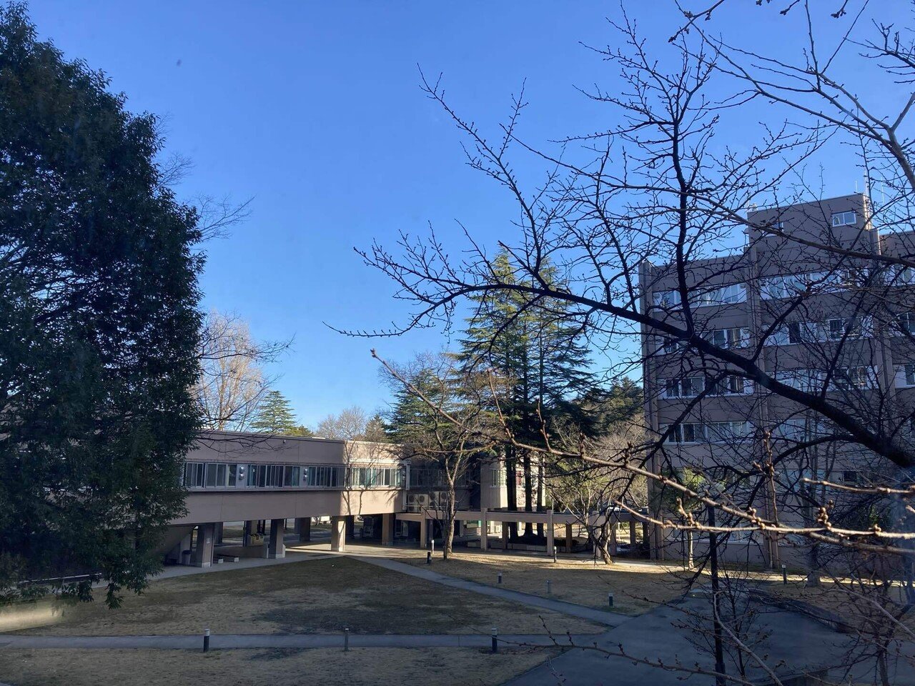 東北画人基礎資料集』／32 杉本通信〜「知」への驕り〜｜こちら