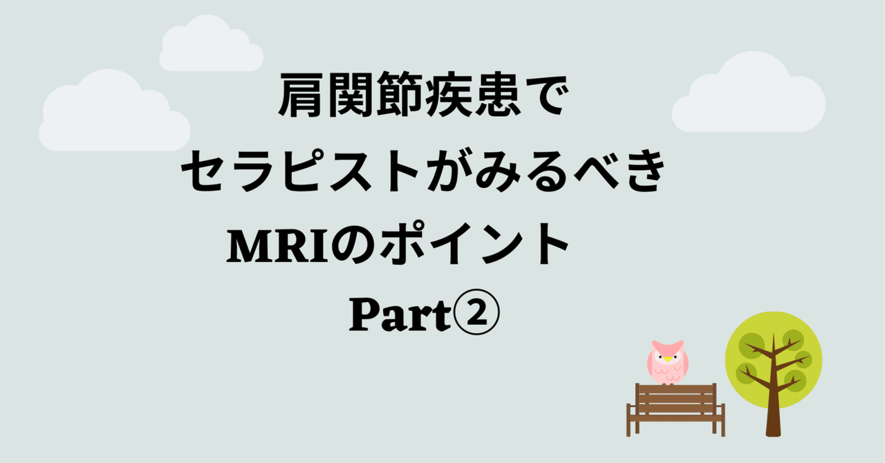 肩関節疾患でセラピストがみるべきMRIのポイント Part2｜脳外