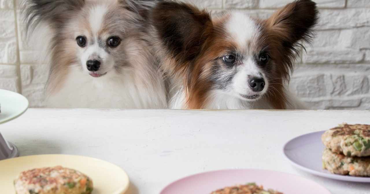 いちかわあやこ 犬ごはん先生 の18年8月のノート Note