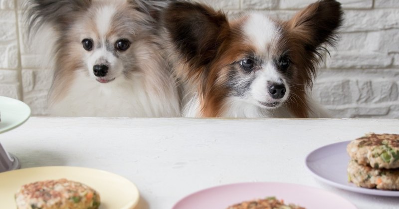 ふわっとやわらかシニア犬にもおすすめ 冷凍作り置きハンバーグ 月額限定 手作り犬ごはんレシピ いちかわあやこ 犬ごはん先生 Note