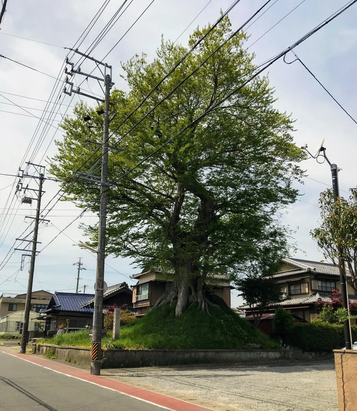 画像8