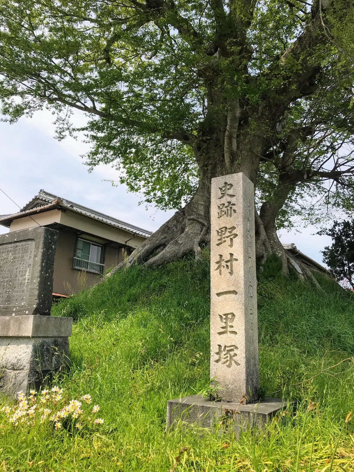 画像9