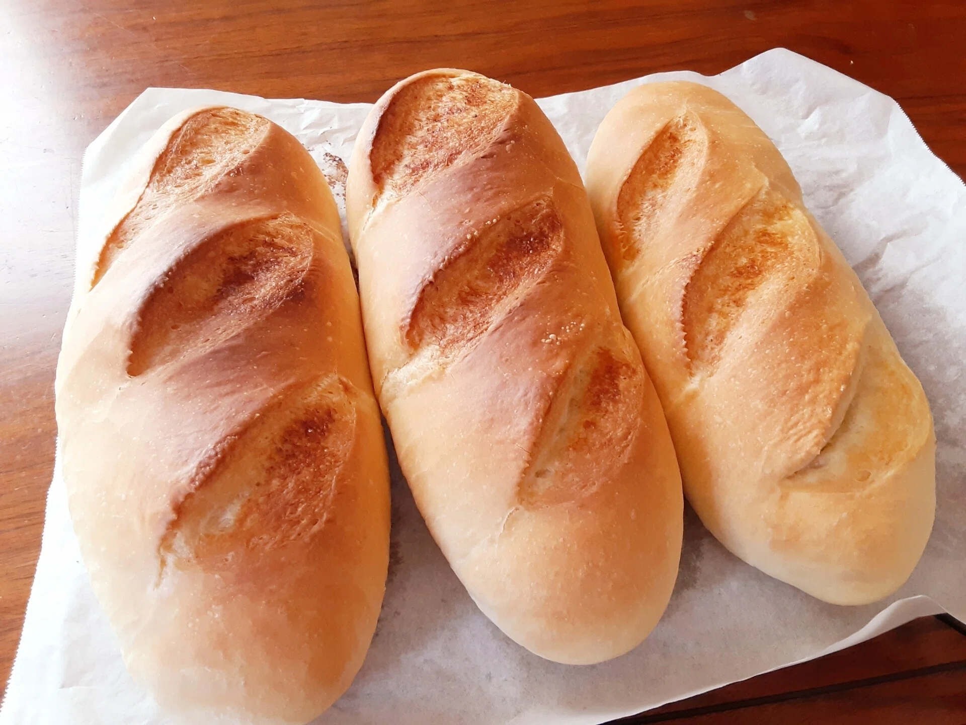 大きなパン｜バミオとみどりネコシュビドゥビ工房