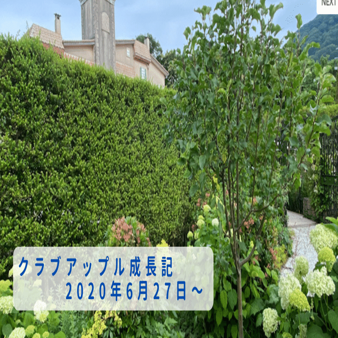 クラブアップル成長記 年6月27日 星の王子さまミュージアム Note