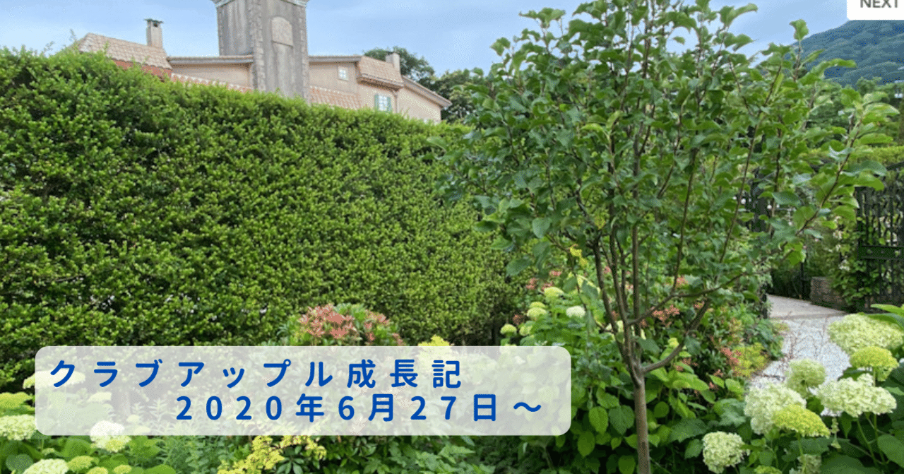 クラブアップル成長記 年6月27日 星の王子さまミュージアム Note クラブアップル成長記 年6月27日 星の王子さまミュージアム Note
