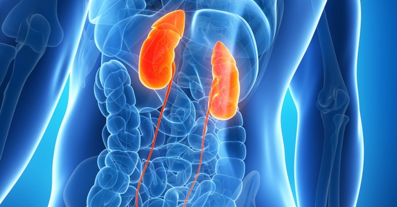 尿細管間質性腎炎 tin とは 薬備 ヤクビ 保険薬局薬剤師のアカデミック備忘録 鎌田貴志 note