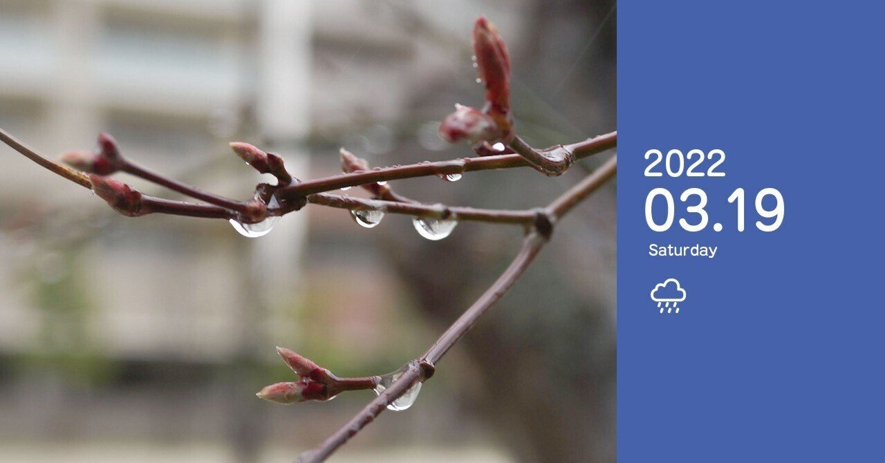 鬱と春の雨 コムロ ヨウスケ Note