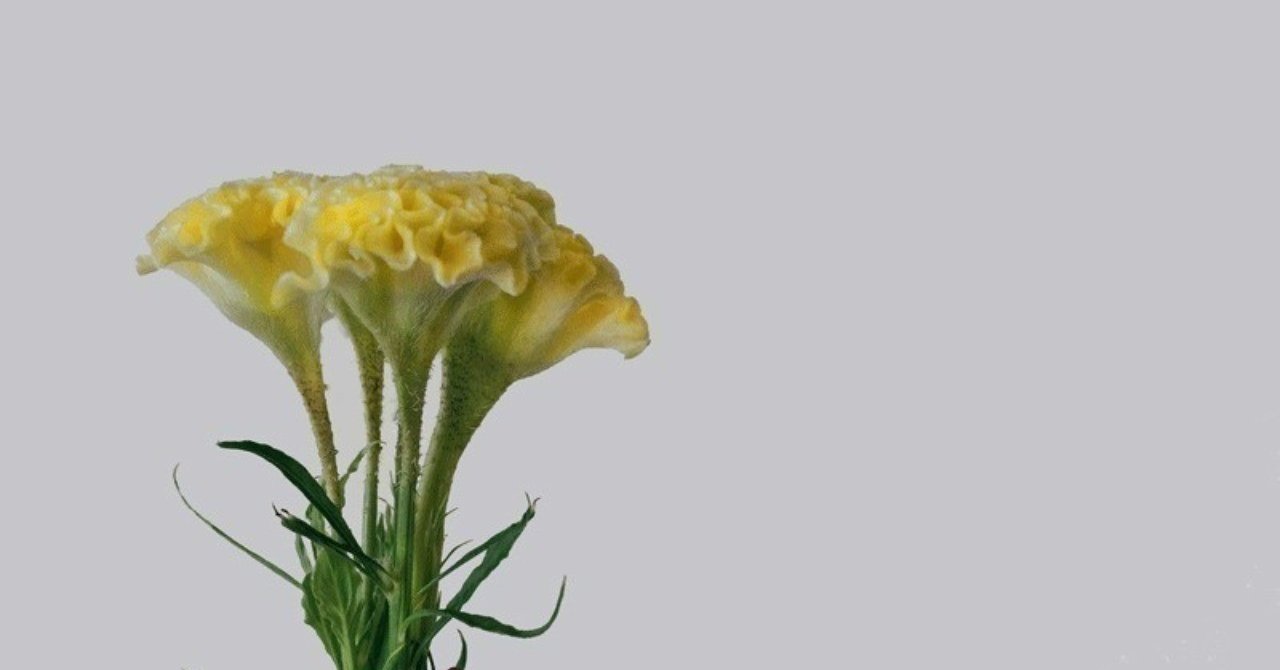 美しい花がある 花の美しさという様なものはない 小林秀雄 七色メガネ Note