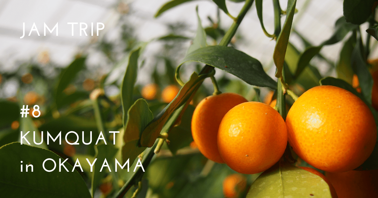 ジャムの旅 〜大実金柑〜」｜旬果放浪記