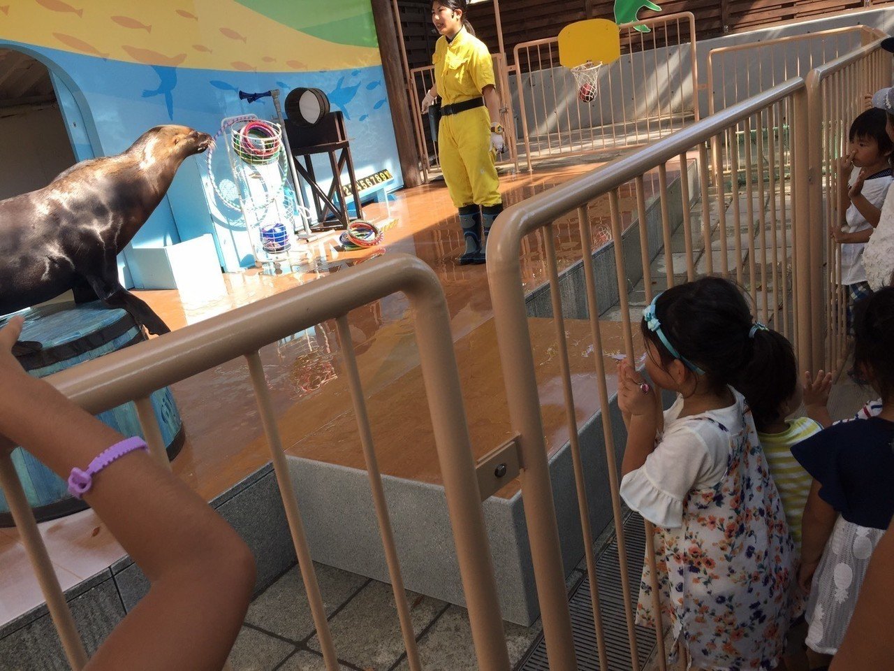 アシカショーみたらしい 娘はおばあちゃんと水族館へ 息子はパパと遊びに行って ママは１日フリーday 美容院 行ってスッキリしてきました みゆた 癒し系ママライター Note