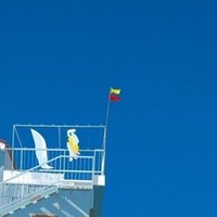 飛ばない豚は ただの豚だ ではない 紅の豚 のもう一つの名言 まほぴ Note