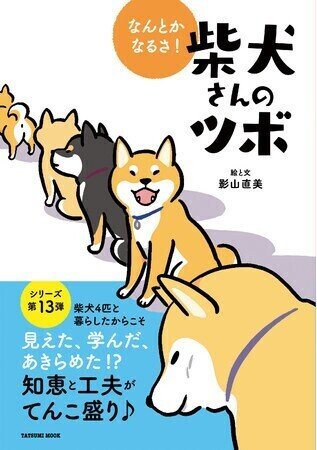 柴犬のツボ