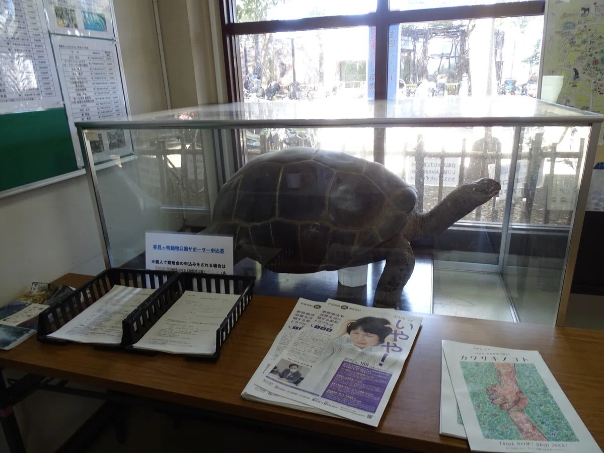 画像19