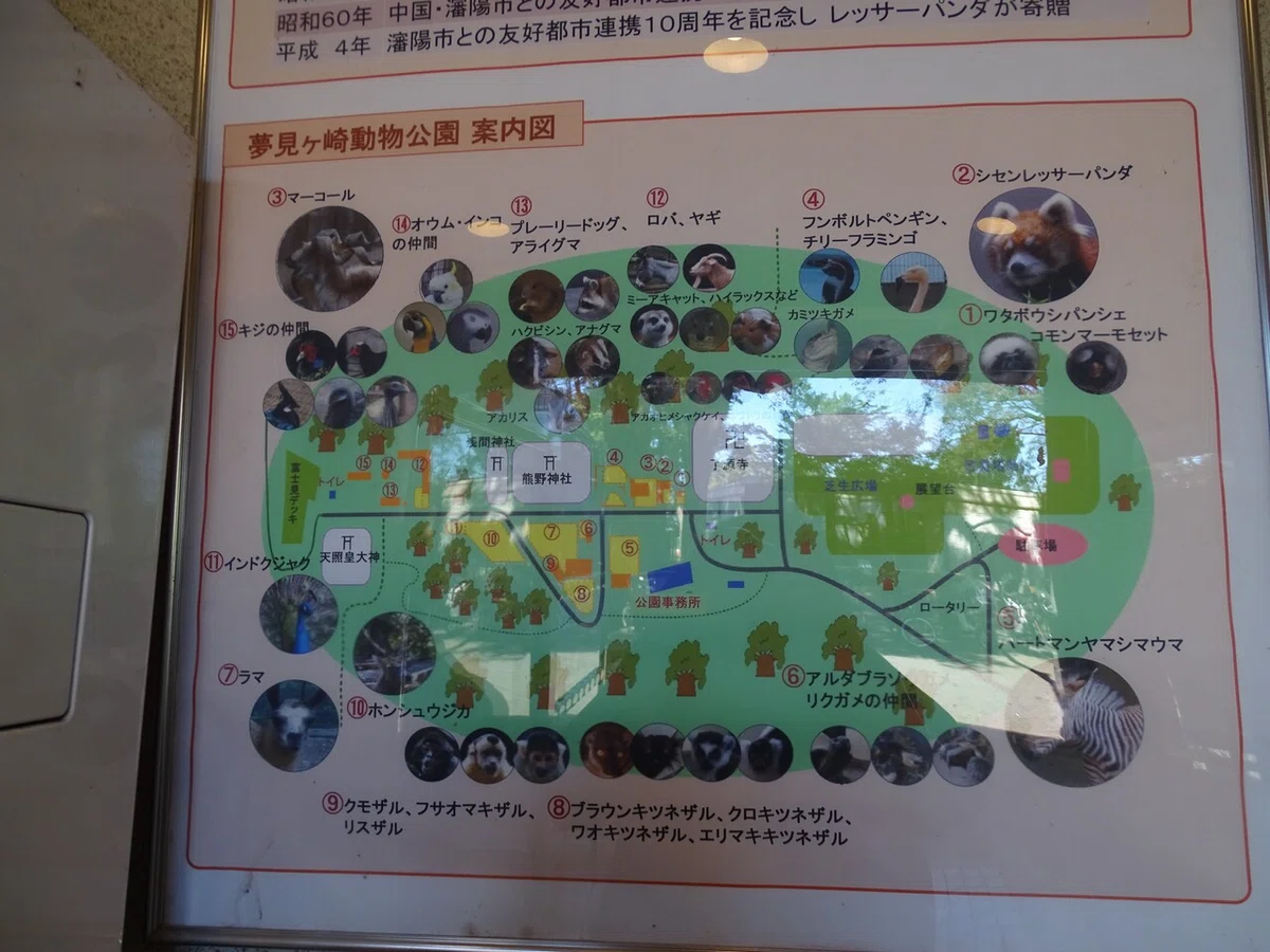 画像21