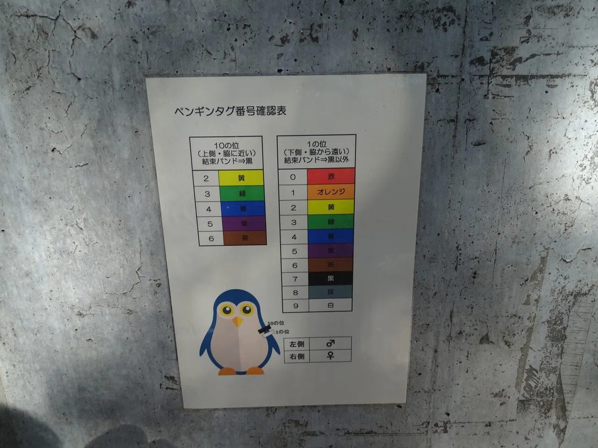 画像57