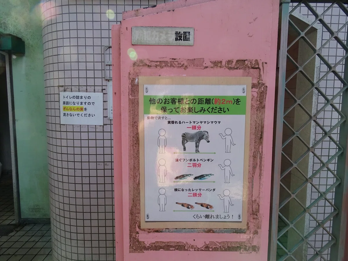 画像14