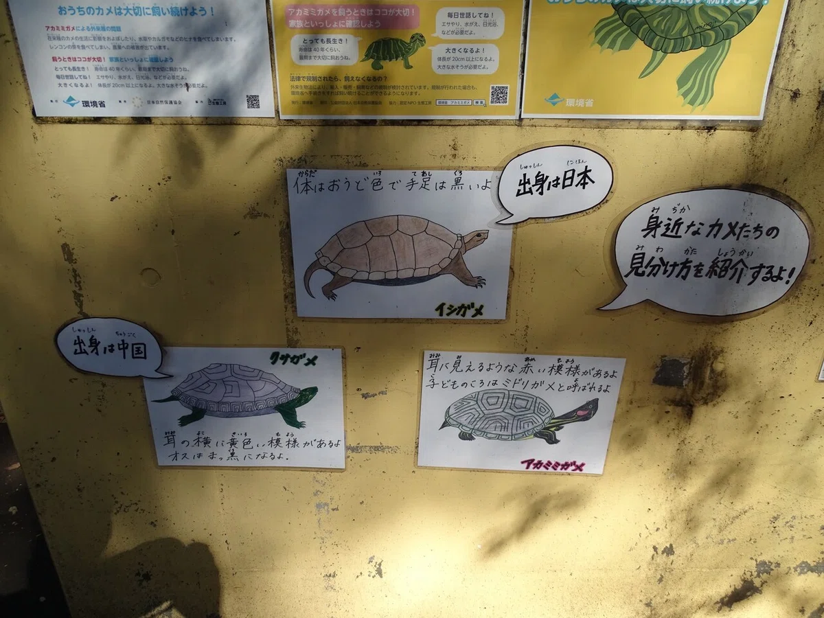 画像45