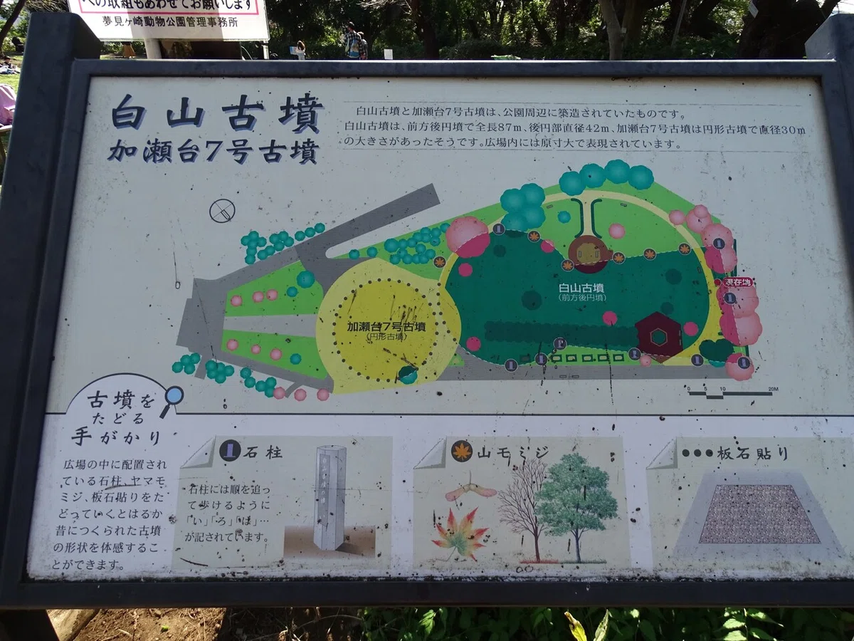 画像11