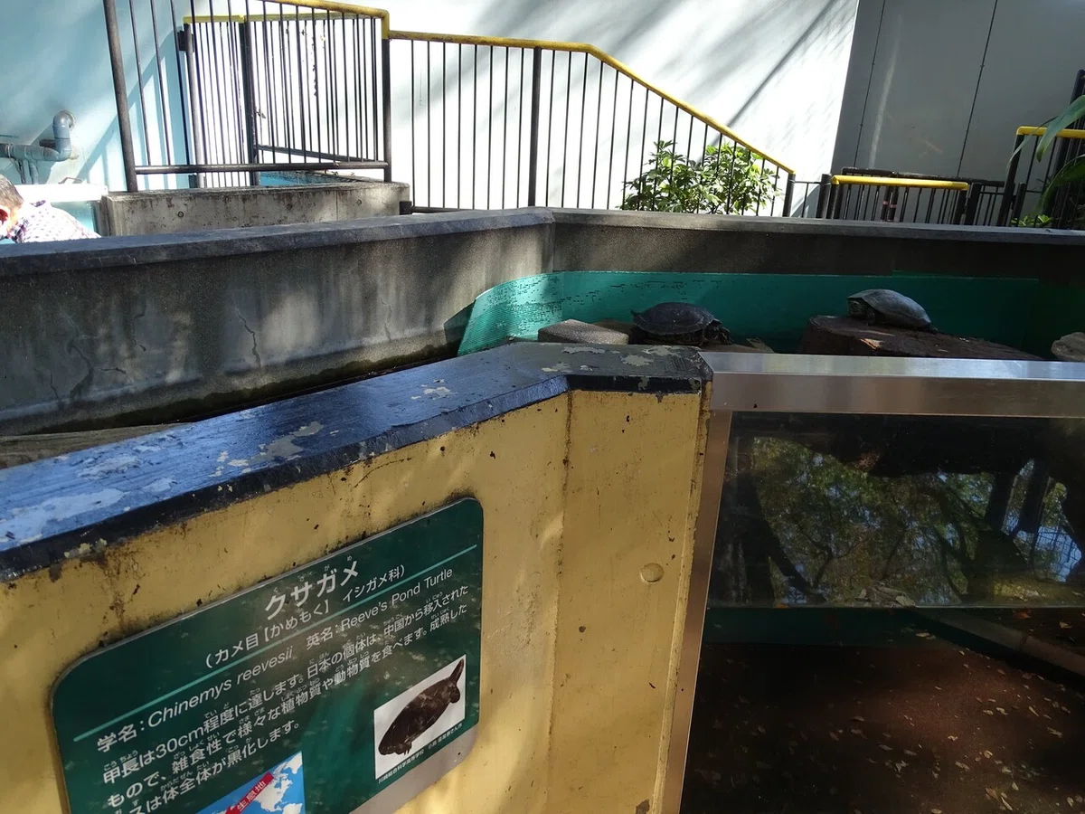 画像46