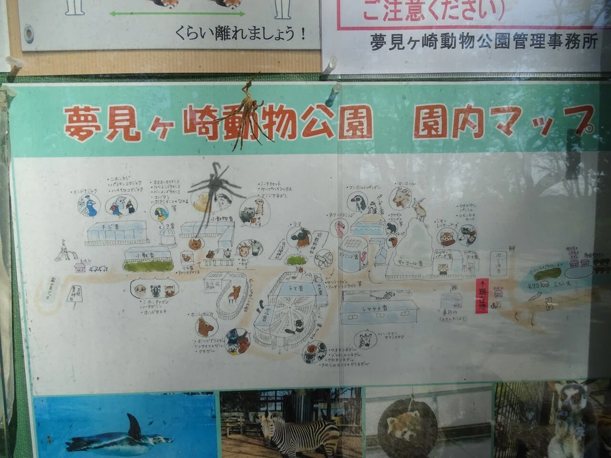 画像23