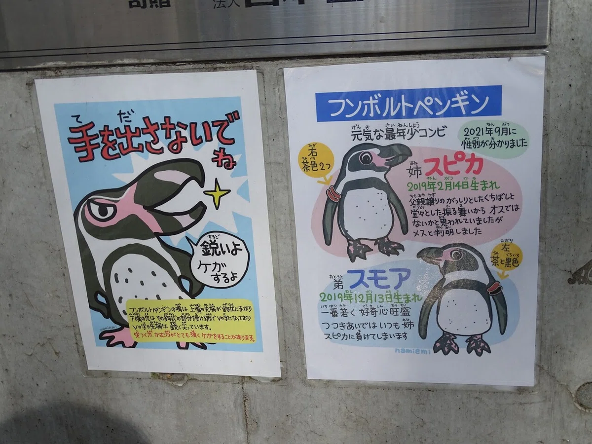 画像65