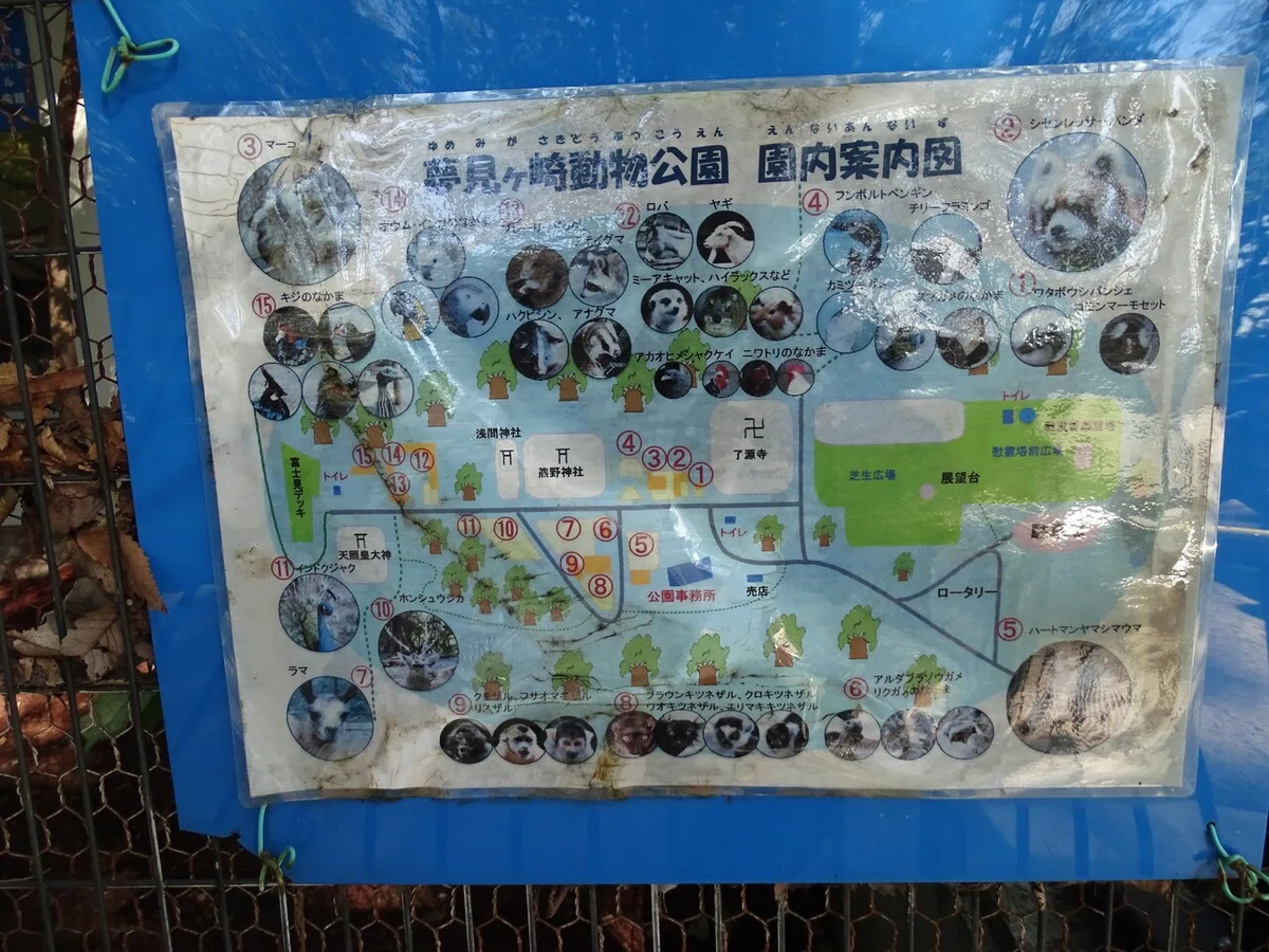 画像17