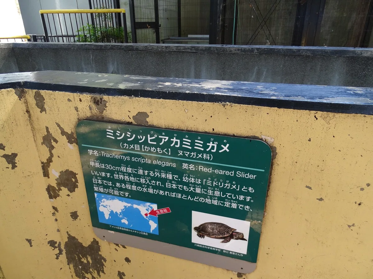 画像50