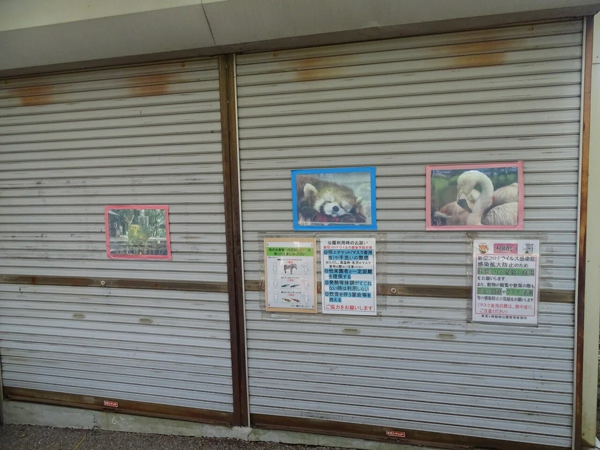 画像13
