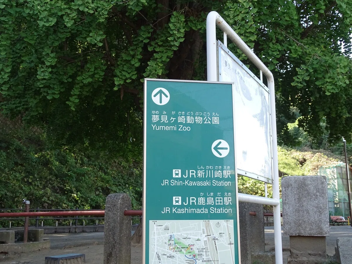 画像8