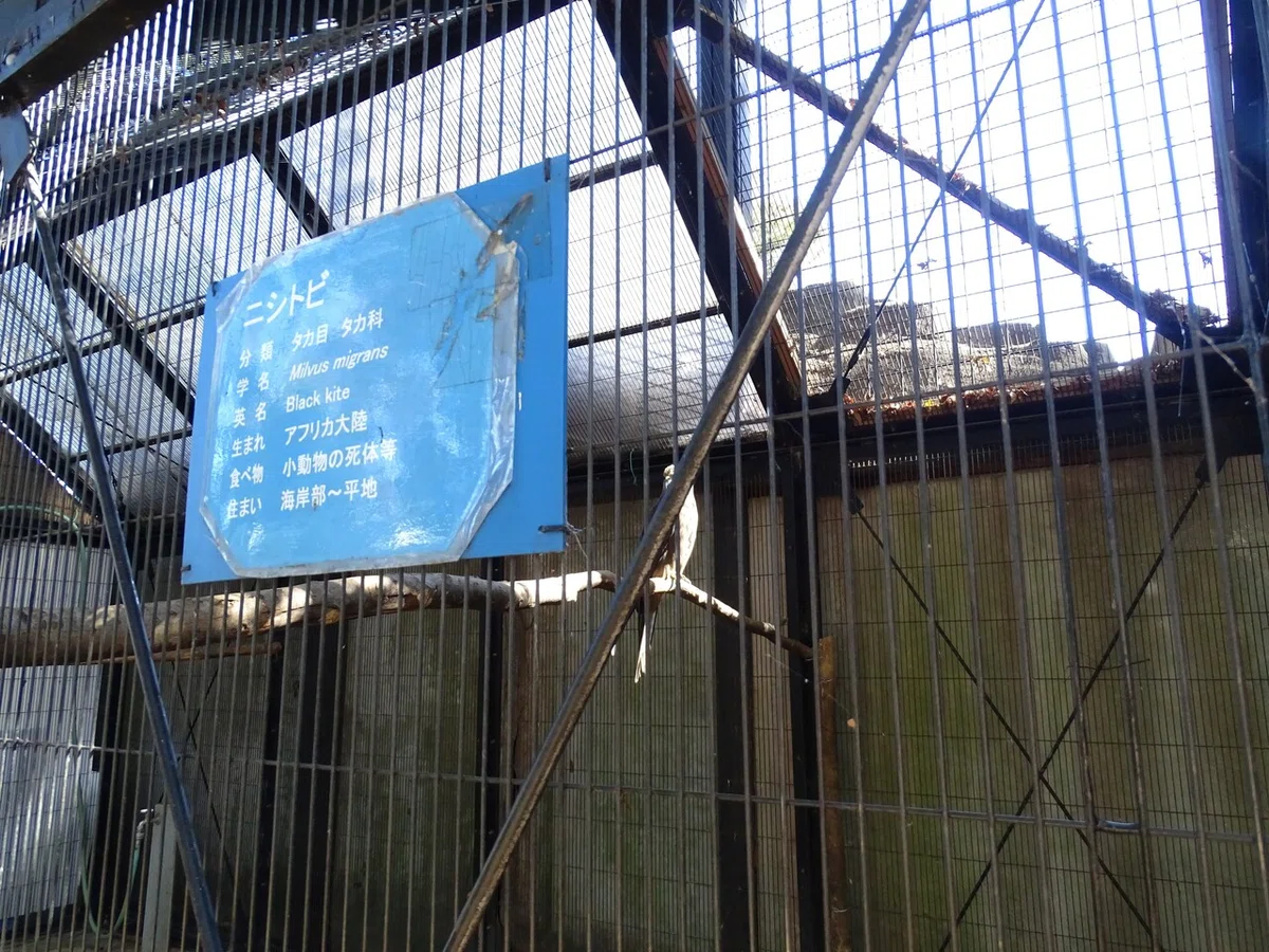 画像51