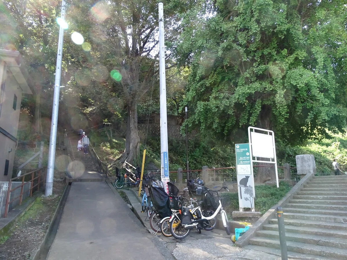 画像6