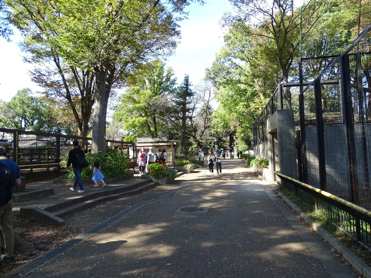 画像38