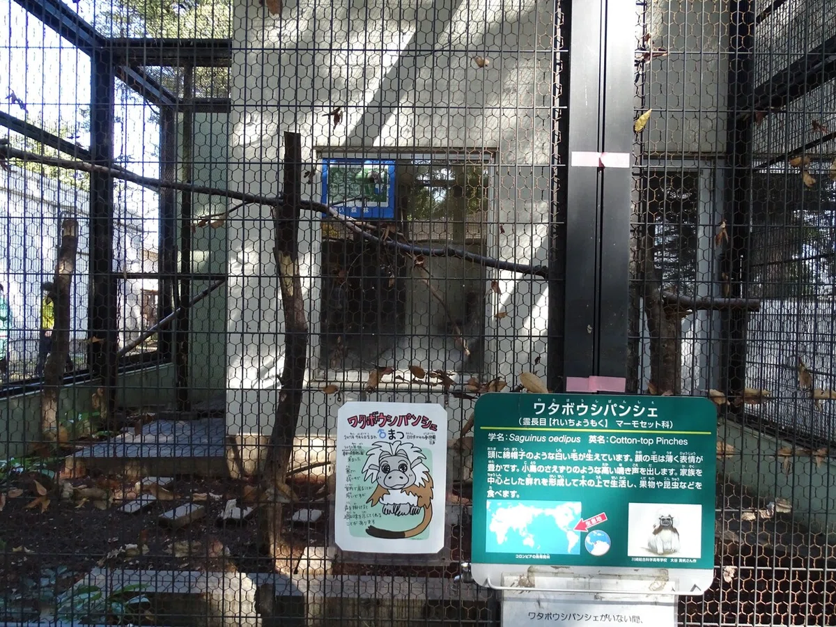 画像26