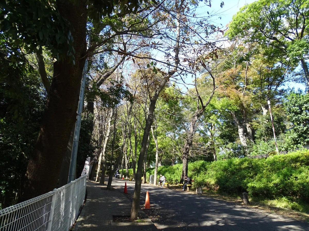 画像12