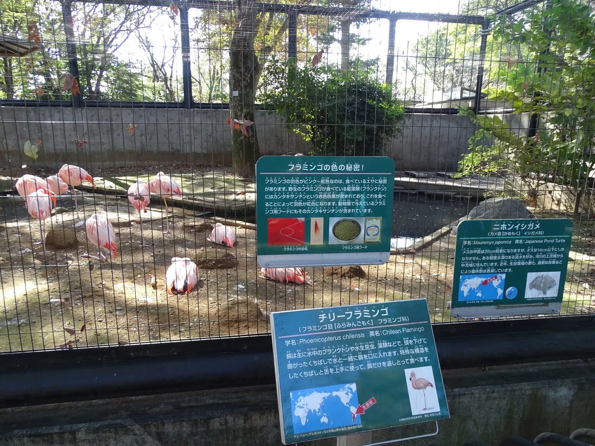画像42