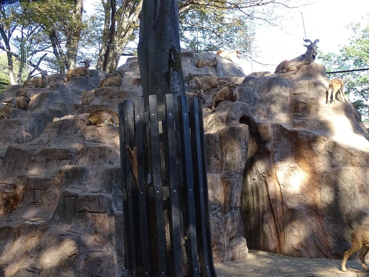 画像34