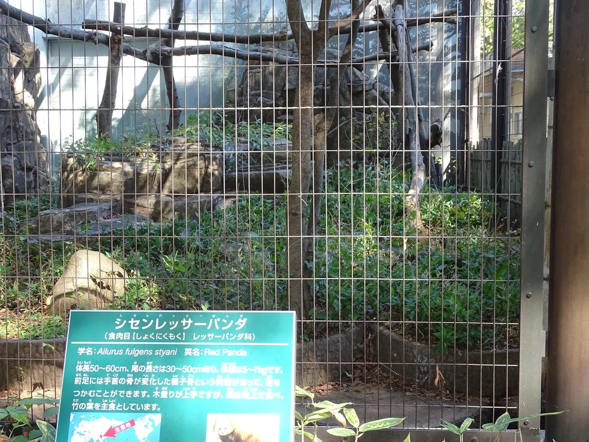 画像27