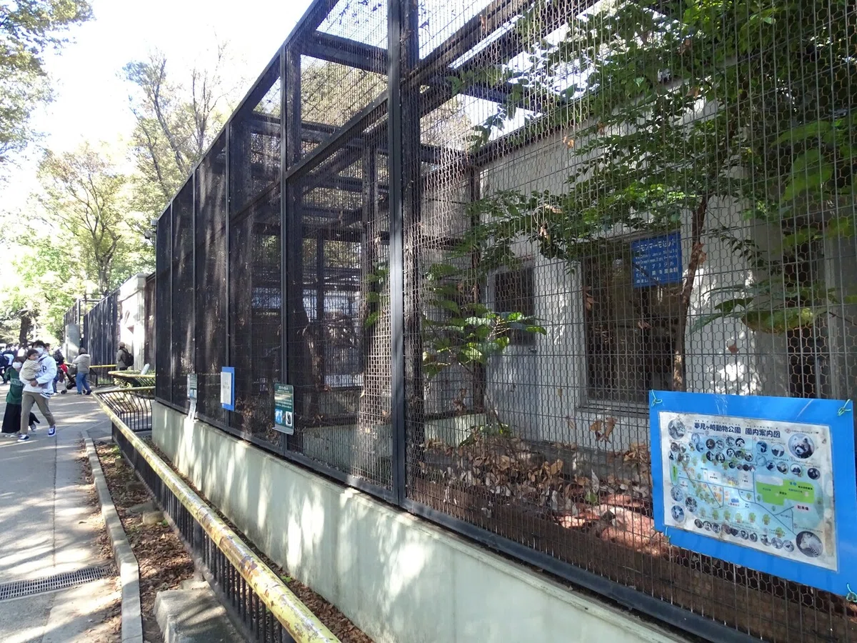 画像16