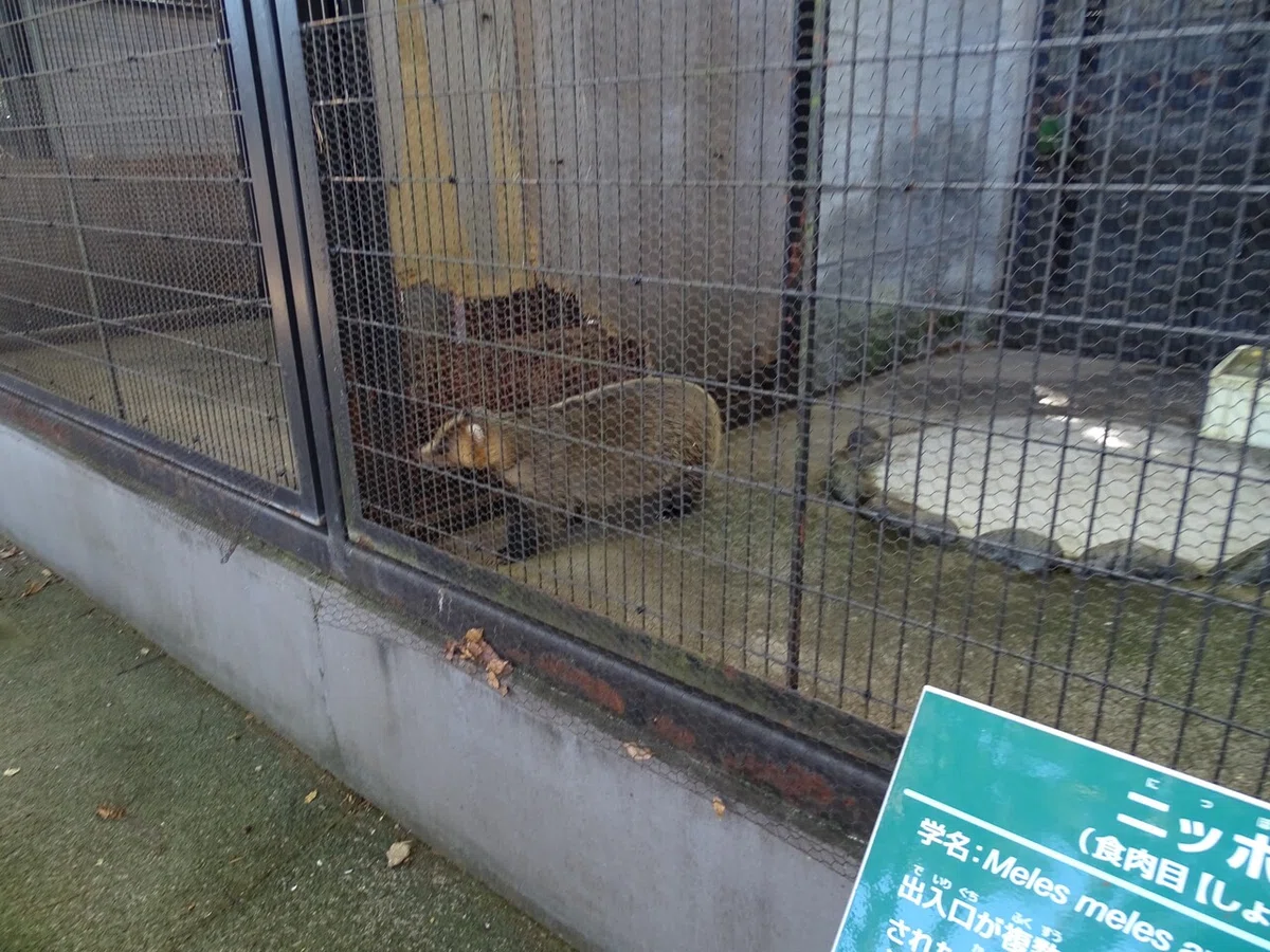 画像149