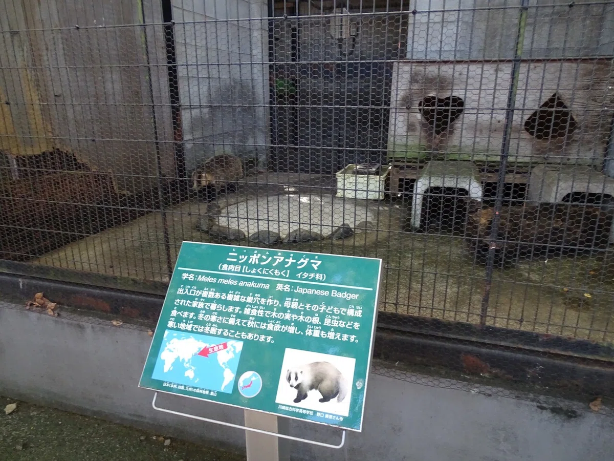 画像148