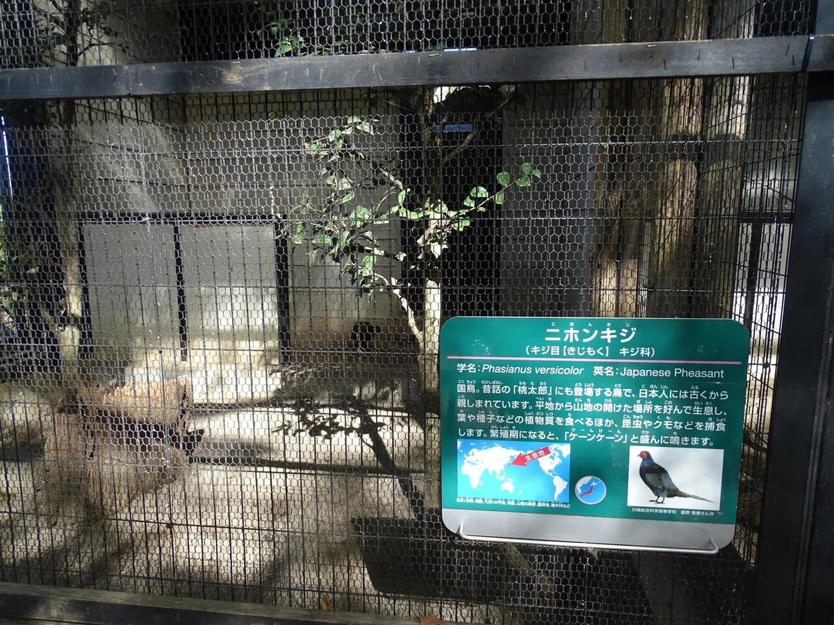 画像132