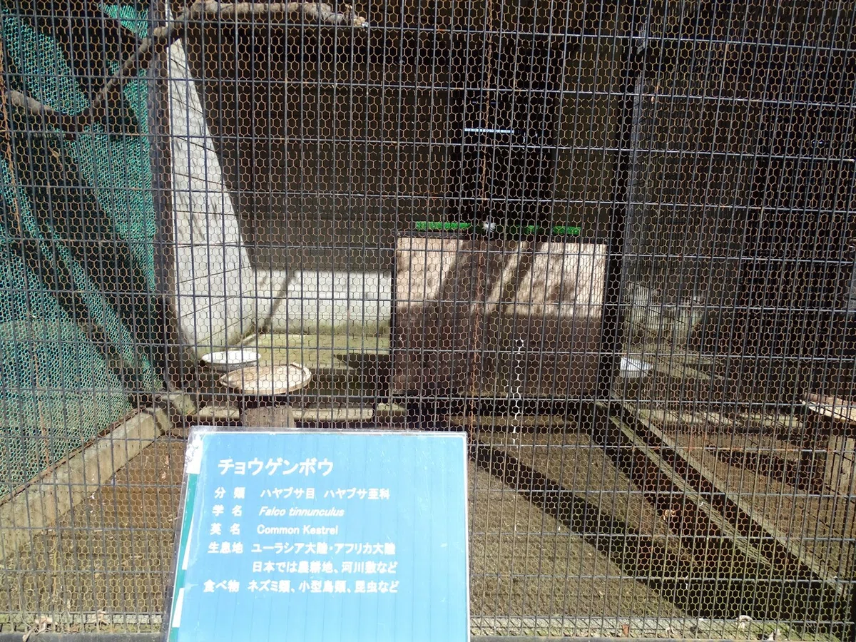 画像103
