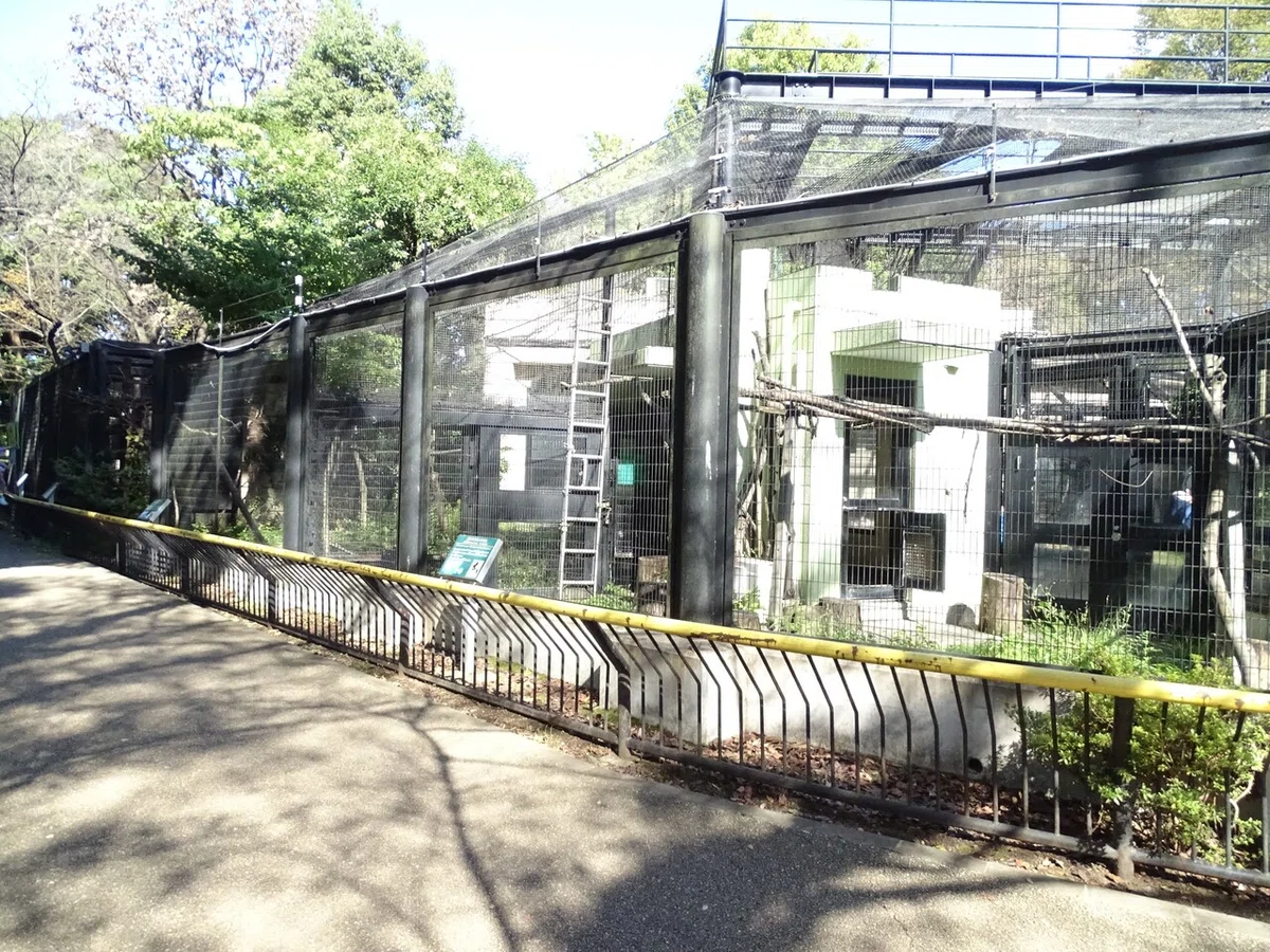 画像187
