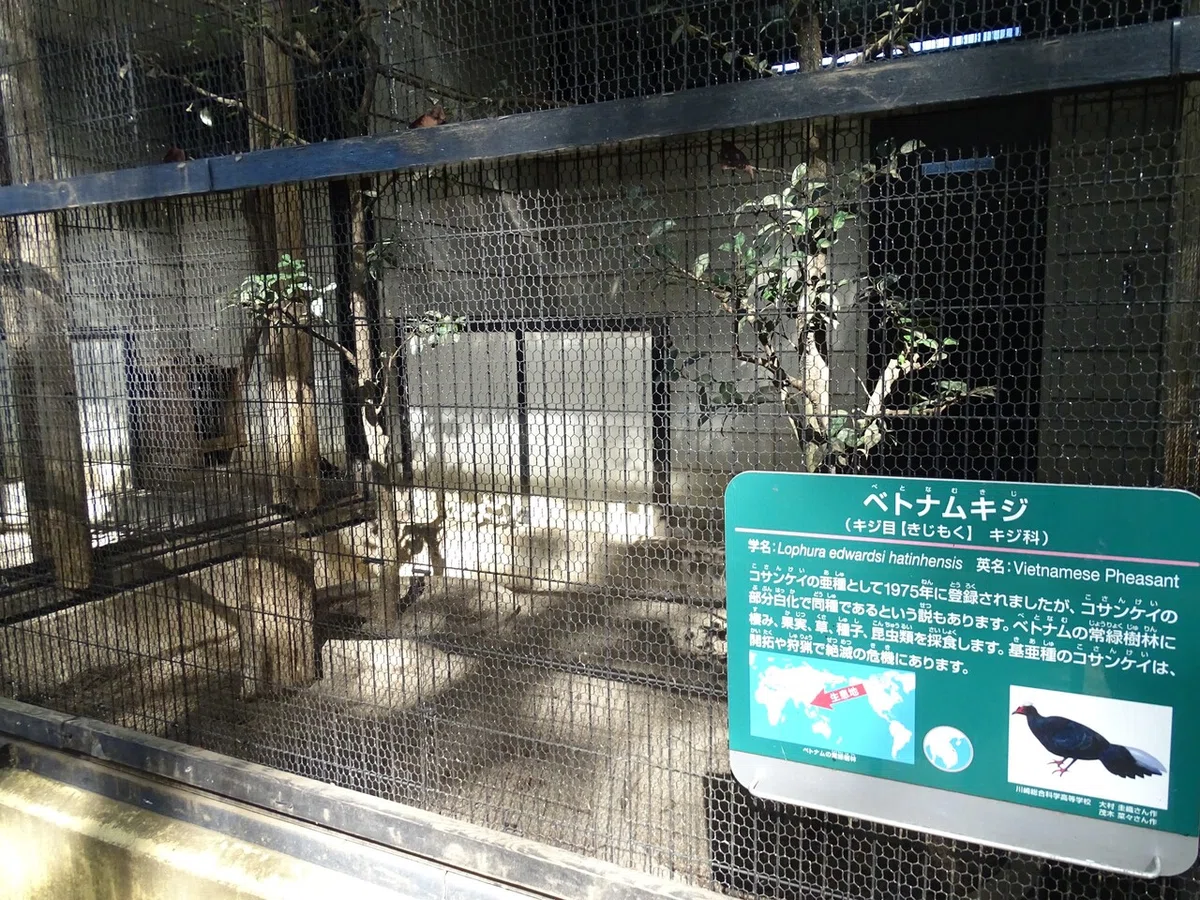 画像129