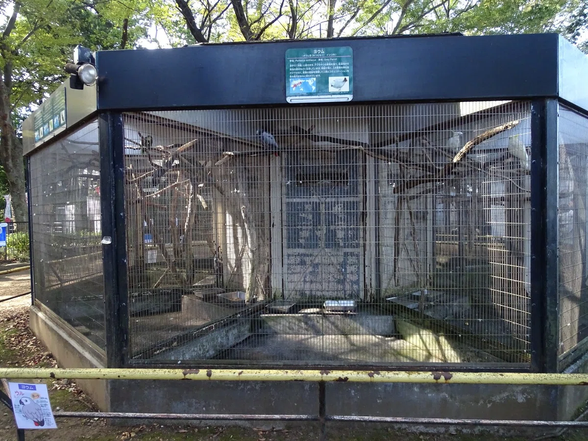 画像110