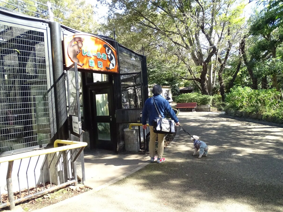 画像188